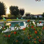 Hébergement de vacances Camélias Casa De Charme Varzielas