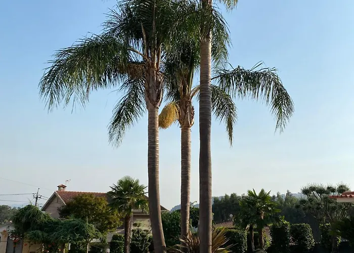 Camelias Casa De Charme Varzielas